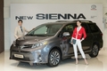 토요타 코리아, 뉴 시에나 출시…상품성↑