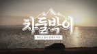 폭스바겐, tvN D 차둘박이 차량 협찬 진행
