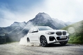 BMW코리아, X3 최초의 PHEV 모델 '뉴 X3 xDrive30e' 출시