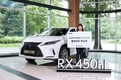 렉서스 RX 450hL 홍보대사에 박현경·이소미·최혜진 女골퍼 선정