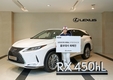 렉서스 RX 450hL 홍보대사에 박현경·이소미·최혜진 女골퍼 선정