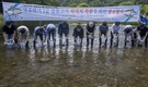 한국타이어, 멸종위기종 '감돌고기' 방류 행사 진행