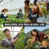렉서스코리아, '2021 렉서스 영 파머스' 선정