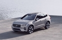 볼보 XC60, BMW·벤츠 아성에도 '베스트셀링 SUV'로 존재감 과시…매력이 뭘까