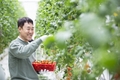 혼다코리아, 혼다 앰버서더 및 임직원과 함께 푸르메소셜팜 일손 나누기 봉사활동 진행