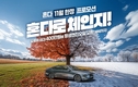 혼다, 11월 프로모션…
