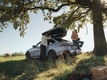 BMW그룹 코리아, BMW·MINI 고객 대상 '서비스 페스타 2025: 스프링 업' 캠페인 실시
