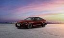 BMW코리아, 창립 30주년 기념 5월 온라인 한정 에디션 5종 출시
