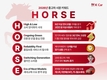 케이카, 2026년 중고차 트렌드 키워드 'HORSE' 선정