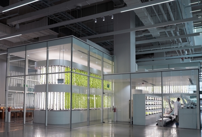 스마트 팜(Smart Farm)의 모습